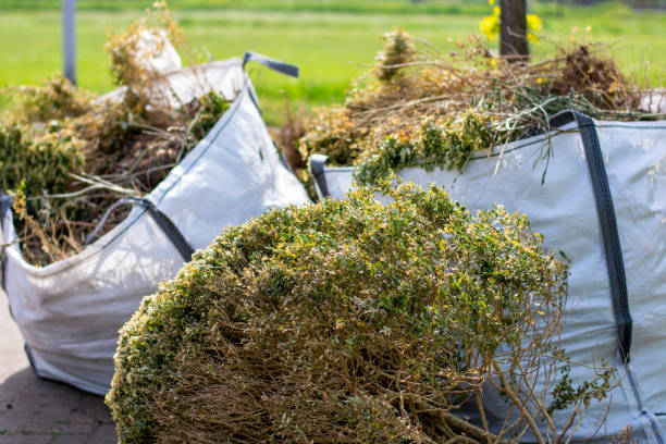 Best Demolition Debris Removal  in Williamstown, WV
