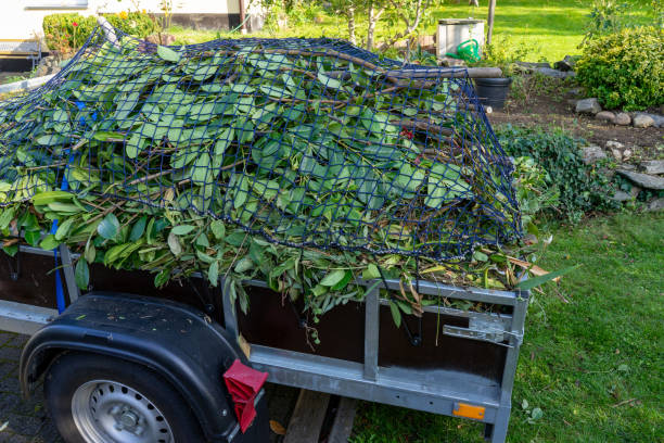 Best Construction Debris Removal  in Williamstown, WV